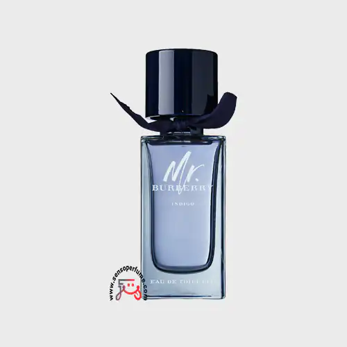 عطر ادکلن مستر باربری ایندیگو